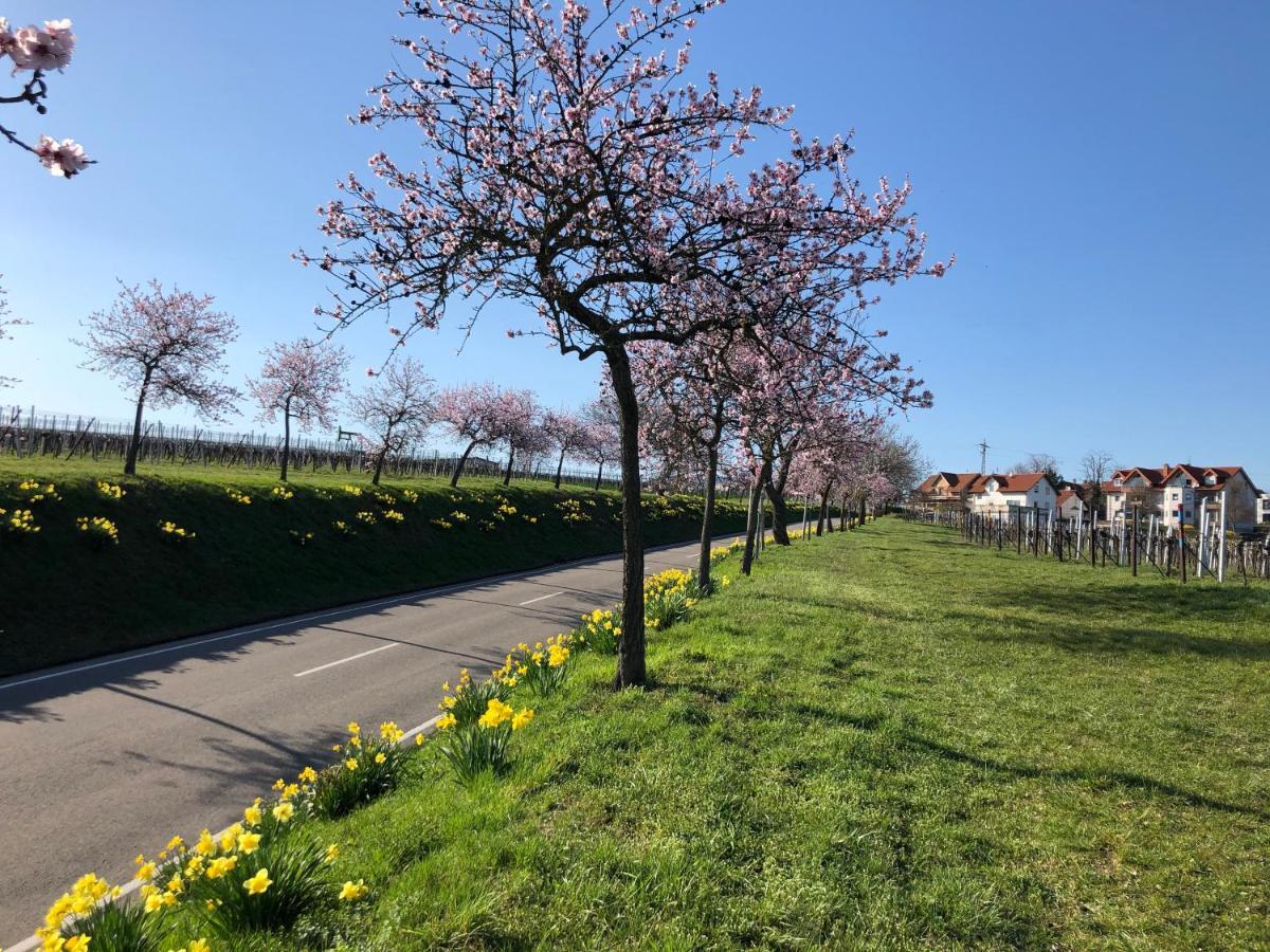 Gaestehaus Susanne Pfaffmann Landau in der Pfalz Buitenkant foto